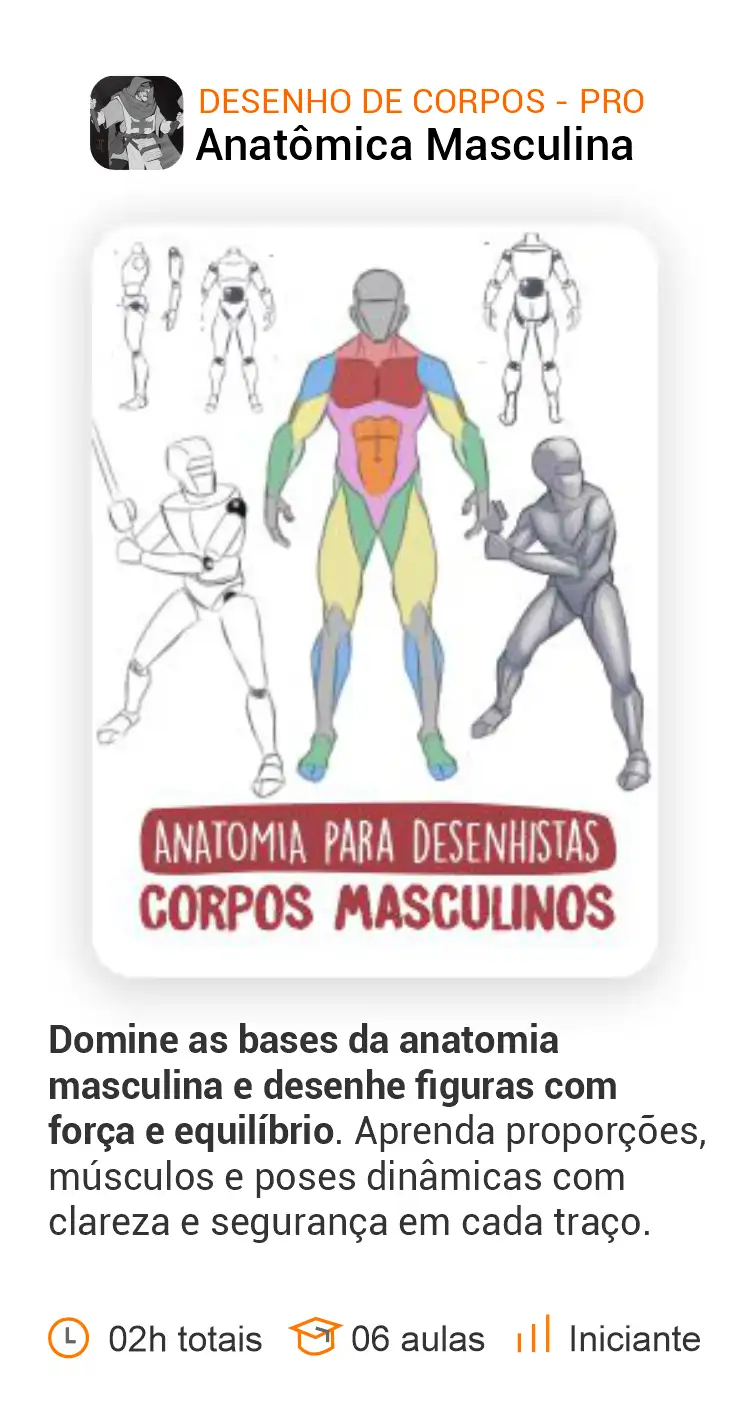 anatomia masculina